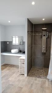 La Chaux-du-DombiefGîte des Roches的带淋浴和盥洗盆的浴室