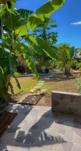 圣弗朗索瓦Banana EcoLodge的一座种植了绿色树木和石头长凳的花园