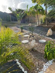 圣弗朗索瓦Banana EcoLodge的庭院里种有岩石和植物的花园