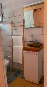 圣弗朗索瓦Banana EcoLodge的一间带水槽和卫生间的浴室