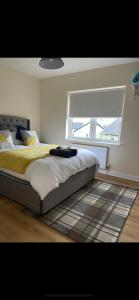 MoyArdean House的一间卧室配有一张带窗户和地毯的床