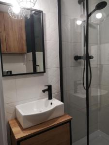 沃姆扎Kawalerka Łomża的浴室配有盥洗盆和带镜子的淋浴