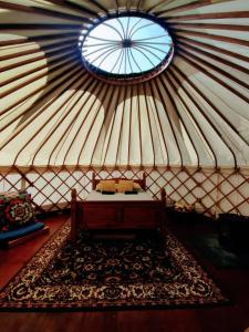 GraffhamBeautiful Yurt with stunning South Downs views的一间设有窗户和地毯的蒙古包的客房