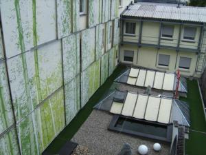 卡尔斯鲁厄艾尔普林森豪夫酒店的享有带窗户的建筑和大楼的顶部景色