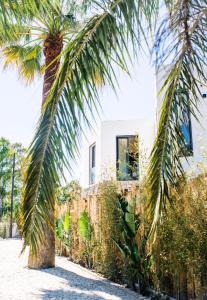 拉克鲁瓦瓦尔梅Villa Alemagou的房屋前的棕榈树