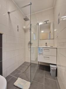 特罗吉尔Apartments Silva的带淋浴、卫生间和盥洗盆的浴室