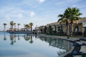 阿莱曼Le Sidi - A TLT Signature Hotel的棕榈树和建筑的水池