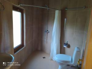 巴统Gonio Hills • Batumi的一间带卫生间和淋浴及窗户的浴室