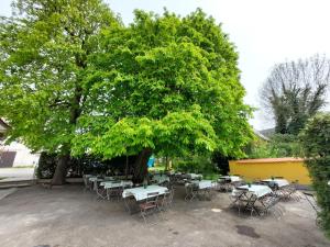 布伦茨河畔金根Brauereigasthof Schlüsselkeller的一大棵树下一组桌椅