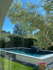罗宾鲁伯龙L’oliveraie的一座房子的院子内的游泳池