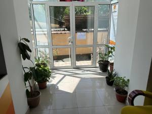 杜尚别SARVAR的一间房间里一扇带盆栽的开放式门
