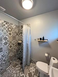 埃伯鲁普Denmark Outdoor Lodge的一间带卫生间和淋浴的浴室