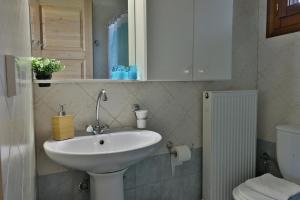 乐托卡亚ZeusPlace Olympus Olive Country House 4的浴室配有白色水槽和卫生间。