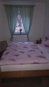 Teschendorfmecklenburgerseenplatt 2的一张带粉红色棉被的床和窗户