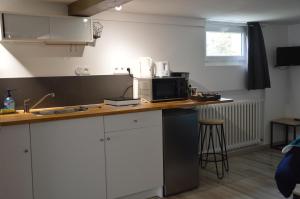 尚特皮Studio Galerie的厨房配有带微波炉的台面