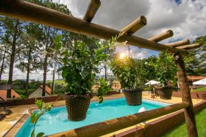 索科罗Hotel Dona Paschoalina的一座种植了盆栽植物和围栏的游泳池