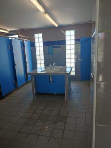 阿格德角voilier Cap d'Agde的一间空浴室,内配水槽和蓝色的摊位