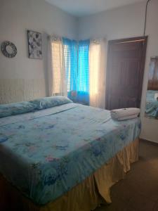 特古西加尔巴Hospedaje Casa de Luna的一间卧室配有一张带蓝色棉被的床