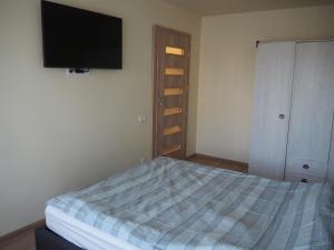 帕内韦日斯B&K apartments的一间卧室配有一张床和一台平面电视
