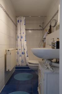 格拉尔-米里茨Ferienwohnung mit Gartenbereich (UT)的一间带卫生间和水槽的浴室