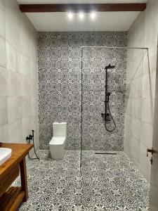 AkhalsopʼeliJavakhishvilebis Marani的带淋浴和卫生间的浴室