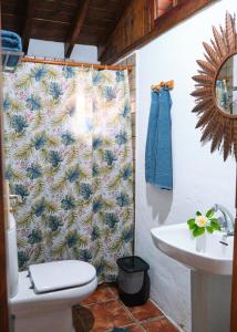 San Juan de la RamblaCasa Rural Felipe Luis的一间带卫生间和淋浴帘的浴室