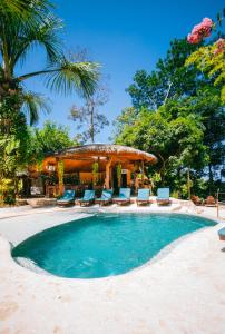 乌维塔Selva Armonia Immersive Jungle Resort的一个带椅子的游泳池和一个凉亭