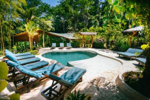 乌维塔Selva Armonia Immersive Jungle Resort的毗邻度假酒店的带躺椅的游泳池