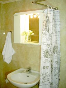 罗希姆诺Mat Old Town Apartments A的一间带水槽和淋浴帘的浴室