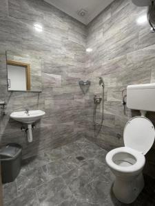 贝拉茨尔克瓦Apartmani Milenko的一间带卫生间和水槽的浴室