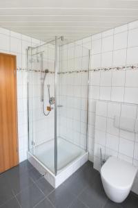 WalsdorfIris的带淋浴和卫生间的浴室
