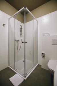 Dolní KouniceKounický dvůr的一间带卫生间的浴室内的玻璃淋浴间