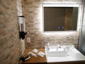 ＳＴＡＹ ＶＩＬＬＡ ＴＯＢＥＴＳＵ - Vacation STAY 14495的一间带水槽和镜子的浴室