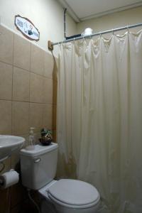 马塔加尔帕Matagalpa Tours Guest House的一间带卫生间和淋浴帘的浴室