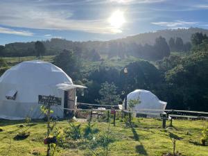 PoasitoPoas Volcano Observatory Lodge & Glamping的天空中阳光明媚的田野上的两个帐篷