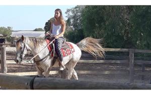 纳尔多Casato Calabrese的骑着白马的女人