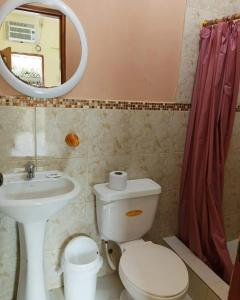 蒙塔尼塔Hostal Tierra y Mar的一间带卫生间、水槽和镜子的浴室