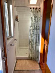 塔尔基特纳Quiet, Elegant & Cozy - 4 Miles from Downtown的浴室内配有淋浴帘。