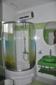 海防玫瑰酒店的带淋浴和绿色水槽的浴室