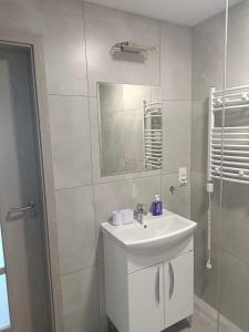 OkuniowiecAgroturystyka Żuczek的白色的浴室设有水槽和镜子