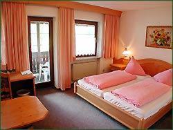 施瓦岑贝格奈奇酒店的一间卧室设有一张大床和两个窗户。