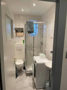 布伦瑞克Geschmackvoll eingerichtete Wohnung in Braunschweig的带淋浴、卫生间和盥洗盆的浴室
