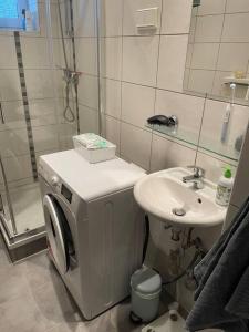 布伦瑞克Geschmackvoll eingerichtete Wohnung in Braunschweig的一间带洗衣机和水槽的浴室