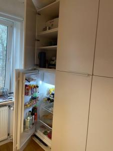 布伦瑞克Geschmackvoll eingerichtete Wohnung in Braunschweig的厨房里设有冰箱,门开