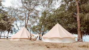 Kampong Tanjong Che LahomRustika Glamping的海滩上的两顶帐篷,后方有树木