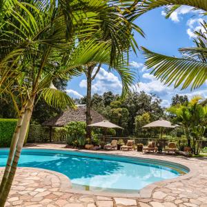 Aitong费尔蒙马拉野生动物俱乐部酒店的一座棕榈树、椅子和遮阳伞的游泳池