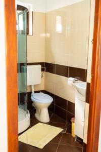 马拉亚Casa Lotrilor的一间带卫生间和水槽的浴室