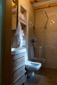 柳布什基Kamena Kuća Vegar的浴室配有卫生间、盥洗盆和淋浴。