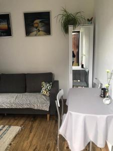 苏莱吉Przytulny apartament dla dwojga的客厅配有桌子和沙发