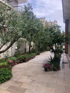 佩斯卡拉Casa ideale per la tua vacanza的建筑中种有树木和花卉的走道